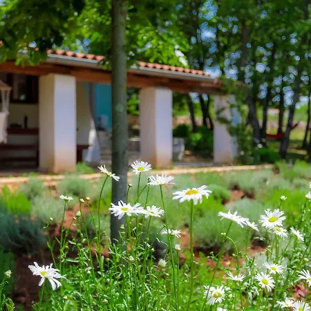 Holiday home D&d By Interhome
